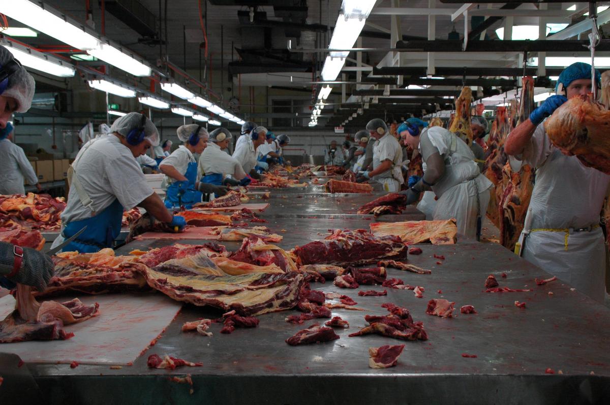 National Meat Industry Training Advisory Council Limited